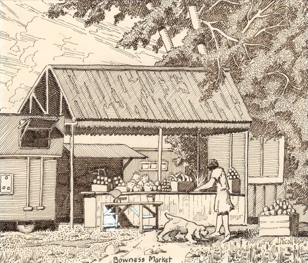 Jim Nicoll, Bowness Market, c. 1950