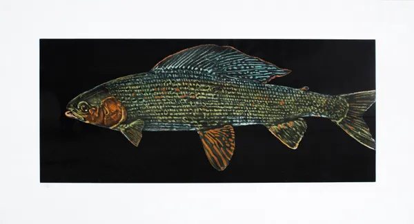 Jack Cowin European Grayling hand coloured etching, ed. 31 of 60 13 x 28 1/2 in 33 x 72.4 cm
