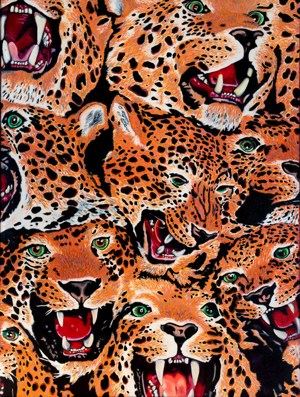 David Thauberger, Leopards / Freeked, 1974