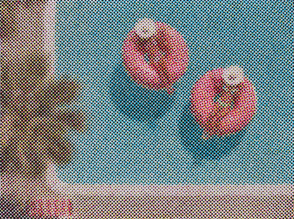 Maggie Hall, I'm Not Sorry, 2026