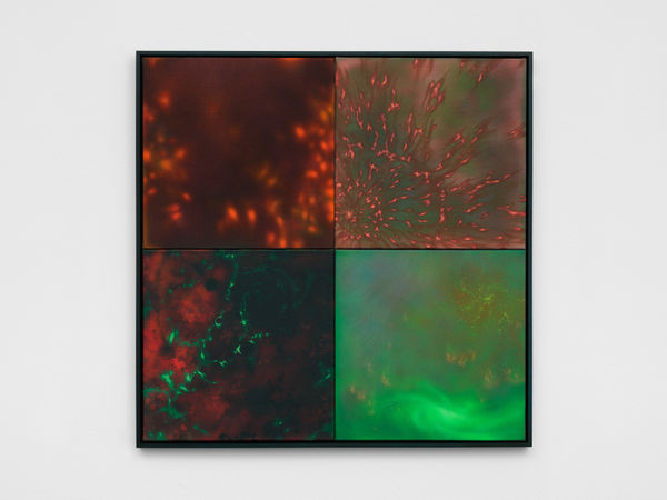 Natacha Donzé, Repository, preserved remains, 2023