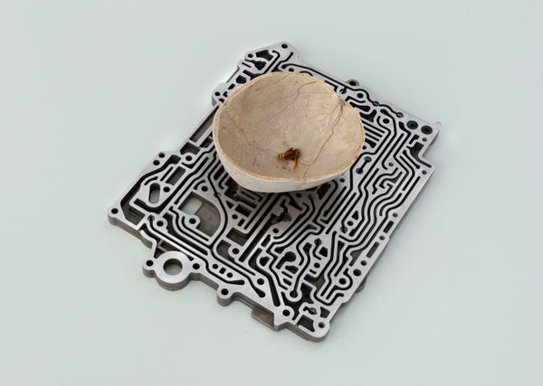 Nicolás Lamas, Nest, 2023