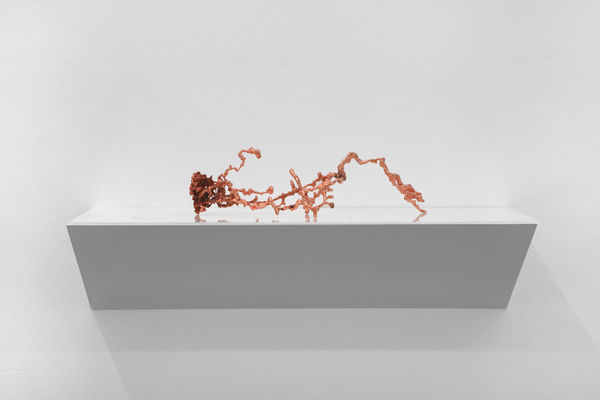 Nicolás Lamas, Spinal cord colony, 2023