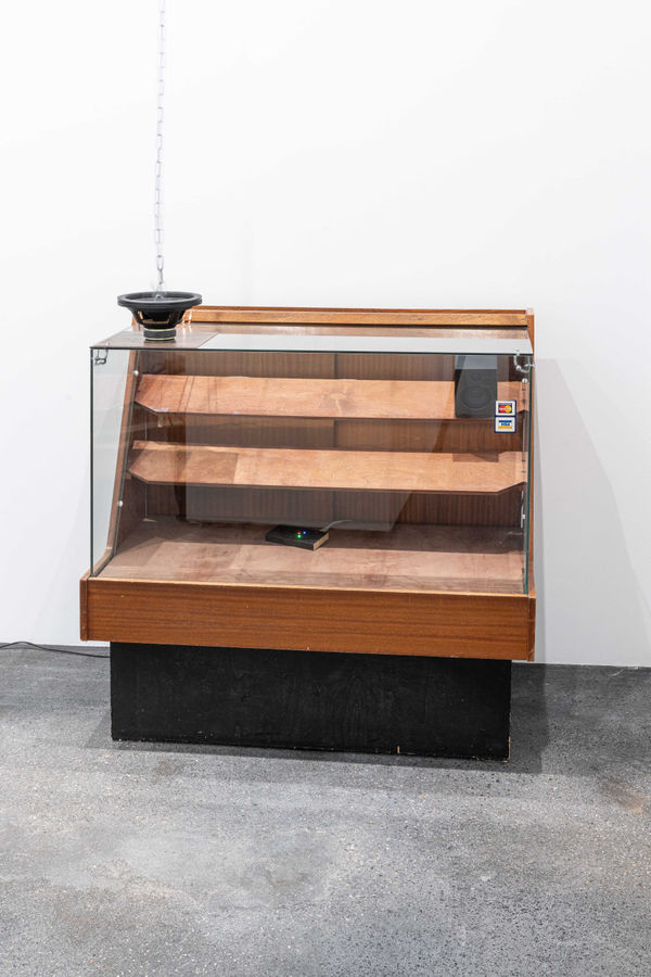 Haroon Mirza, Untitled Song #4, 2012