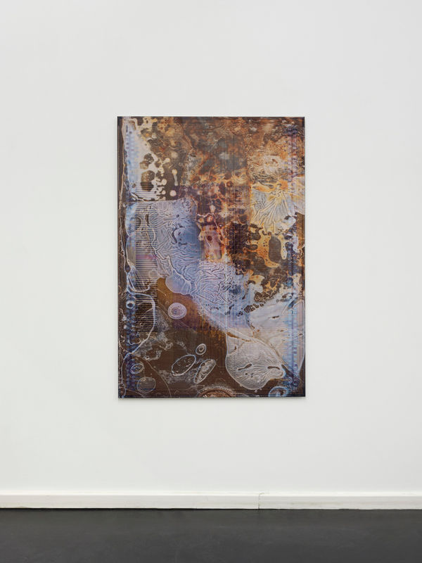 Nicolás Lamas, Fluid minds, 2025