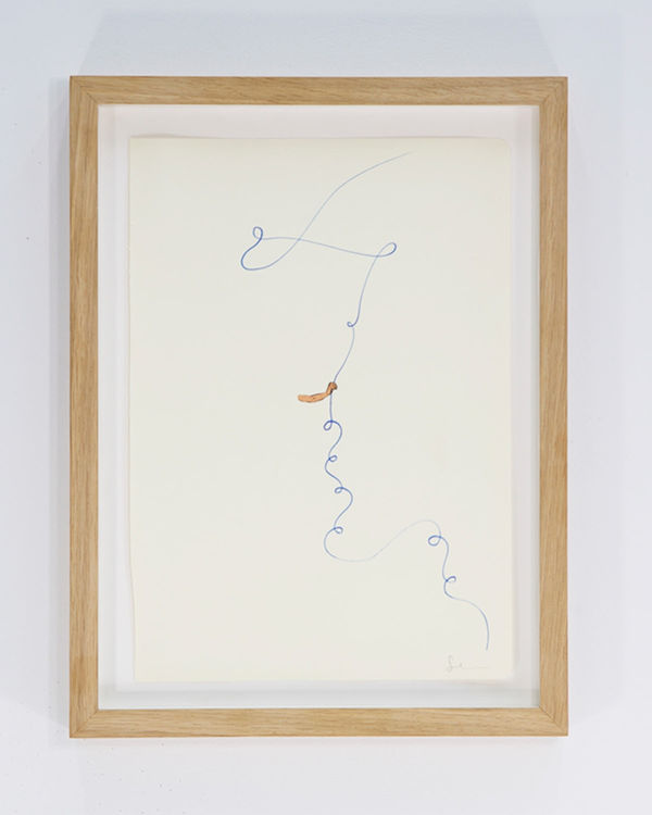 Sean Paul McCluskey, Can't Blame Me For Trying