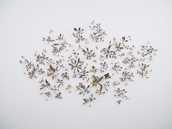 Kirk Maxson, Shooting Star