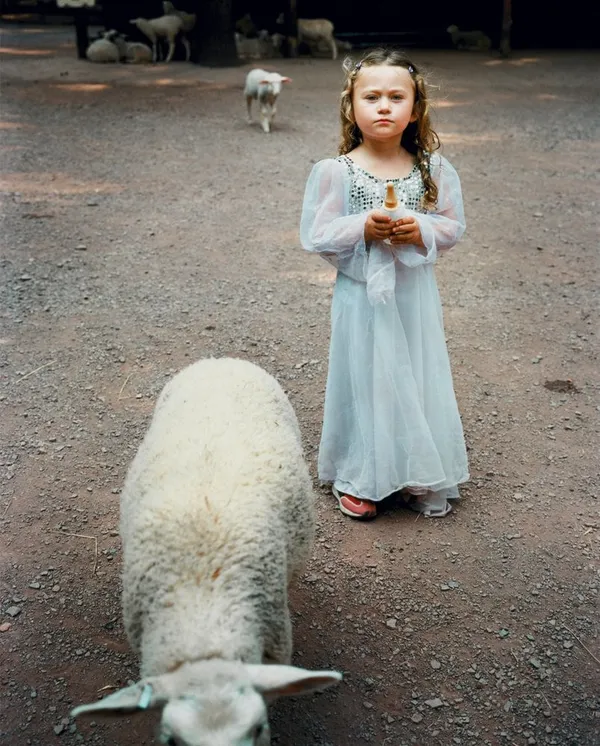Robin Schwartz, Sheep, 2004