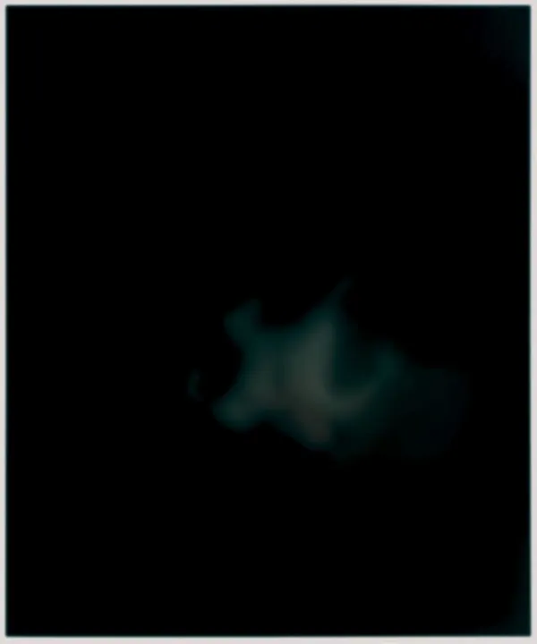 Bill Jacobson, New Year's Day #5038, 2003