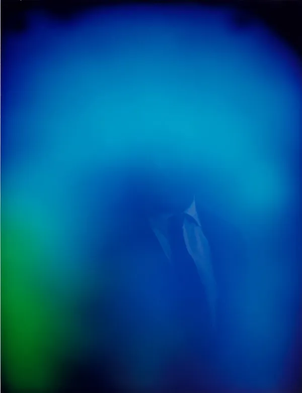 Carlo Van de Roer, Amani Olu, 2010