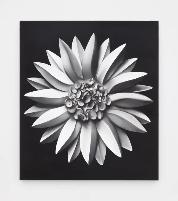 Kara Joslyn, I promise not to sell all your perfumed secrets (Scentless Apprentice), 2021