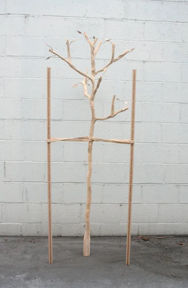 Isaac Resnikoff, Sapling Tree, 2010