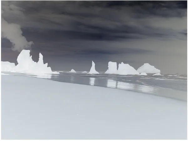 Richard Misrach, Untitled, 2007