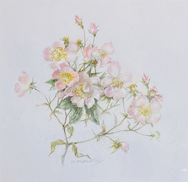 Mary McMurtrie, Single Pink Roses
