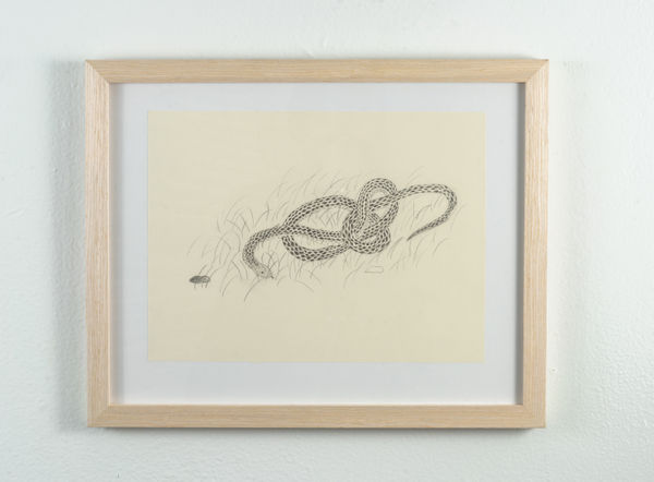 Ben Siekierski, Twisted, 2024