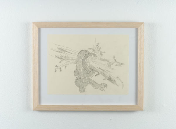 Ben Siekierski, Coiled, 2024