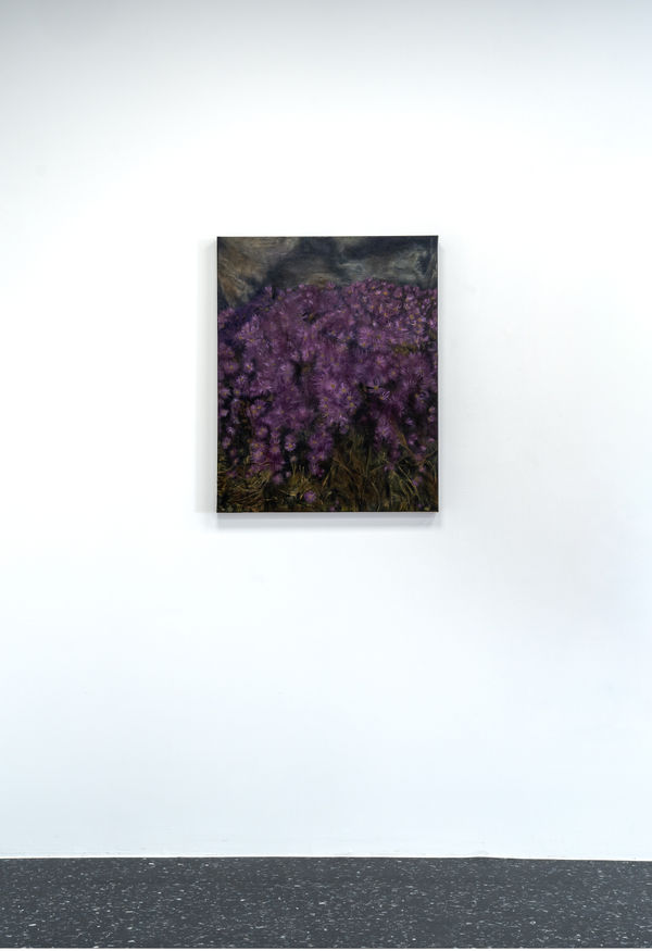 Brandon Campos, Iceplant, 2025