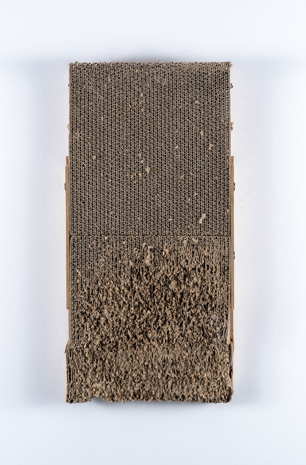 Nathan Anthony, Untitled, 2025