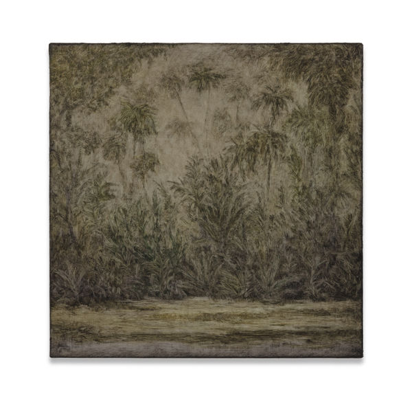 Untitled (from the Deserto-Modelo series)