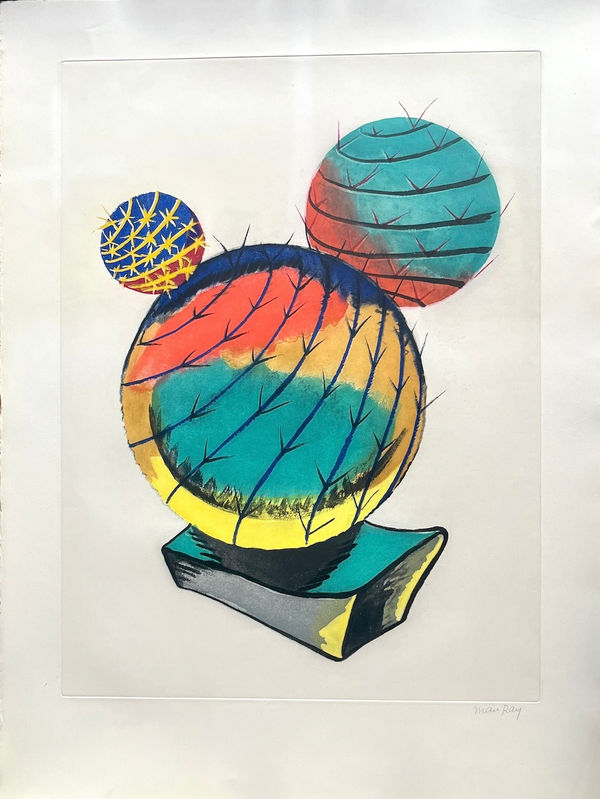 MAN RAY, Cactus I (Transfiguration d'un cactus), 1971