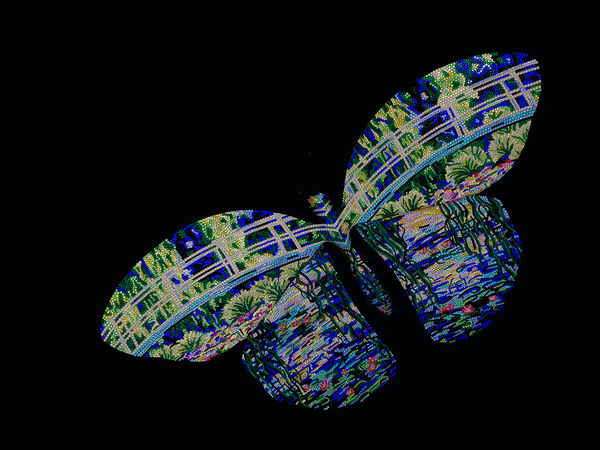 Metis Atash, BUTTERFLY Small "FOLLOW THE PATH", 2024