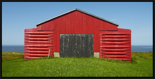 Ned Pratt, Red Shed Innovation, 2022