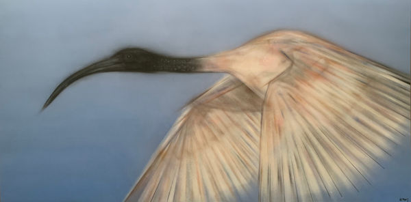 James Money, The Landing, 2023