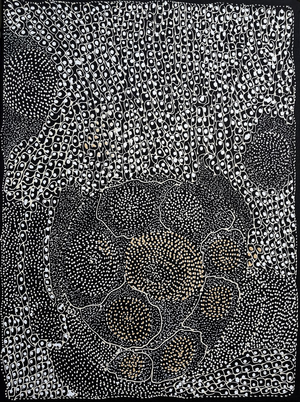 Ngintaka – Perentie #18 [JNKM28522]