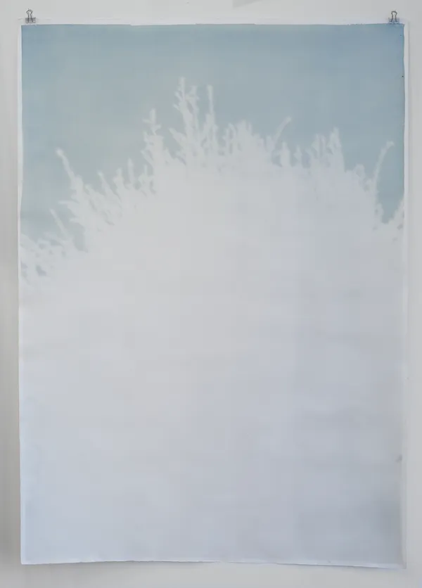 Silke Schatz, Taxus (ehem. Friedhof), 2021