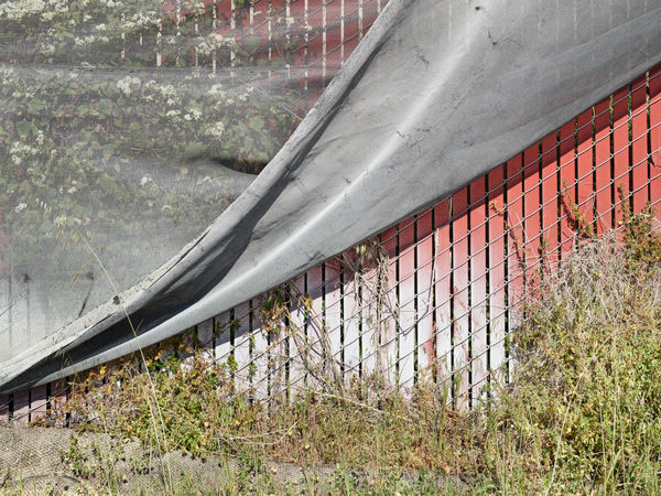 Painted Fence, No. 6688