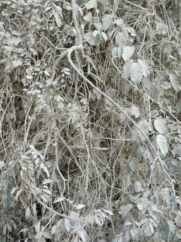 Costa Rica, No. 0381