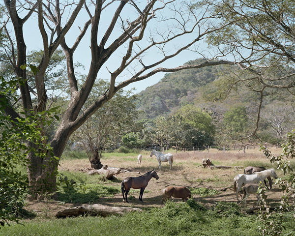 Afternoon in Guanacaste