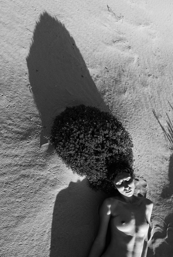 Viki Kollerová, Where I Grow (Nefer), 2022