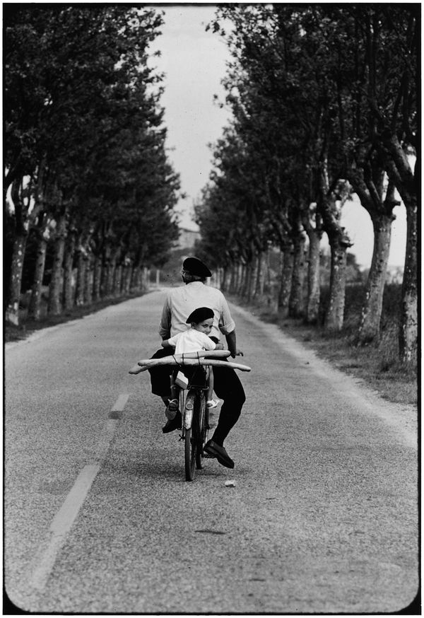 Elliott Erwitt, Provence, France, 1955