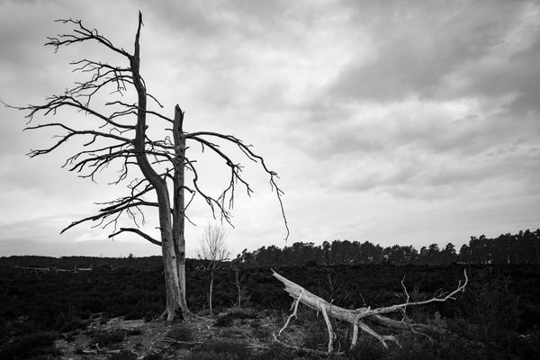 Mathieu Chaze, Dead and Broken, 2021