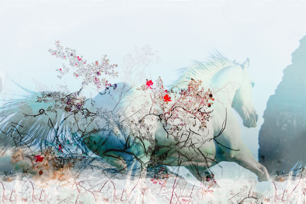 Jim Krantz, FRONTIER X no.16, 2023