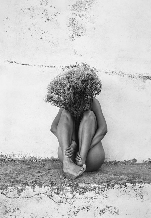 Viki Kollerová, Growing contradictions, 2019