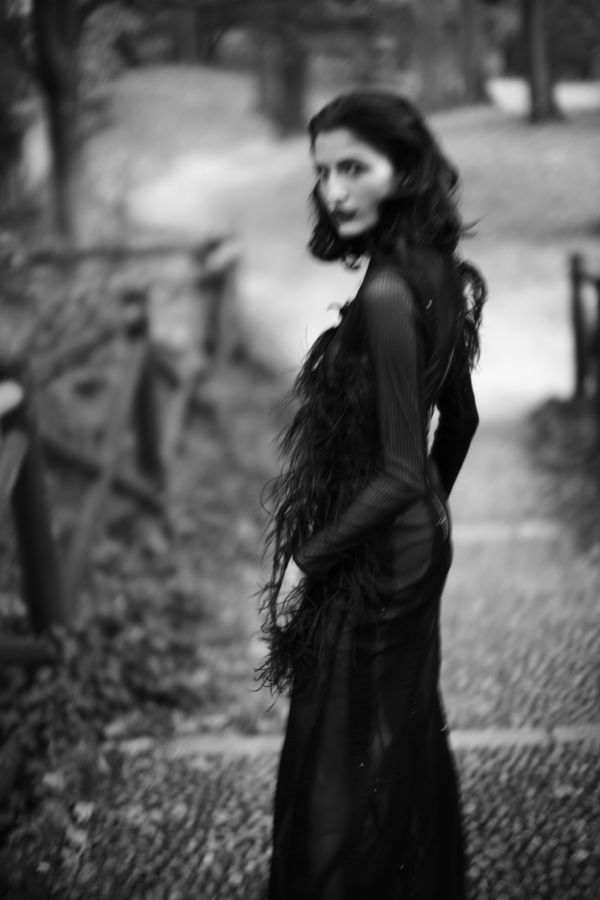 Mark de Paola, Carmen's Feathers II, 2019