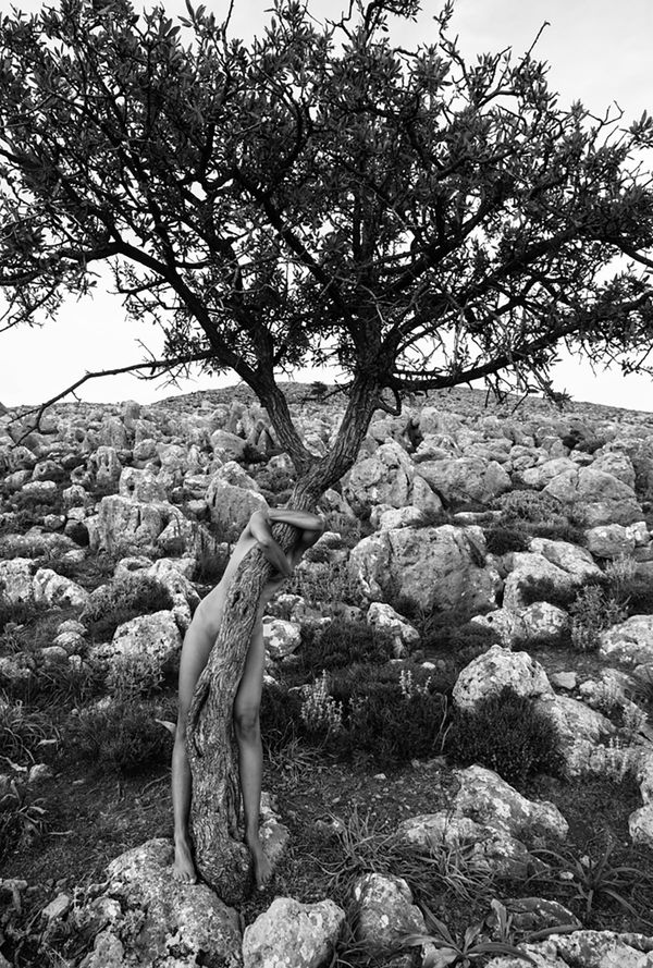 Viki Kollerová, Embrace This Pear, 2020