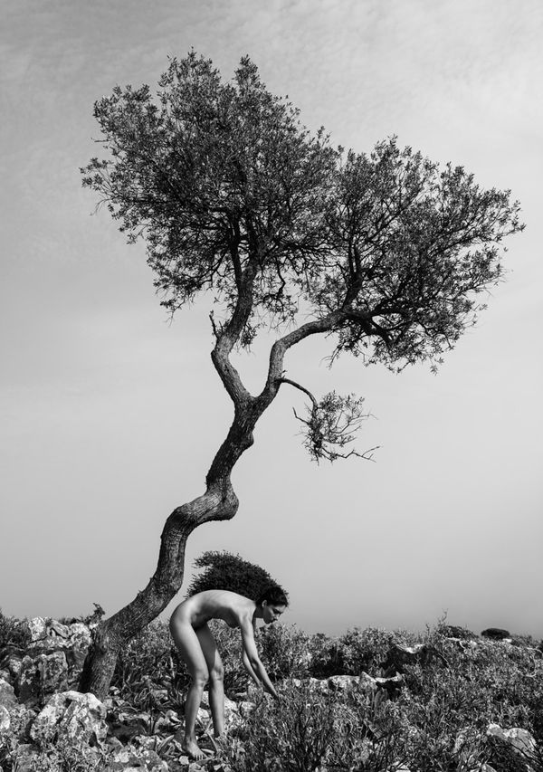 Viki Kollerová, Where I Grow (Harvest), 2022