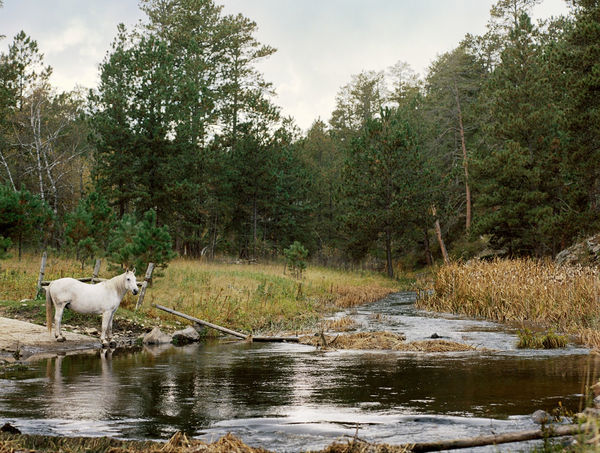 Lisa Candela, White Horse Kill, Black Hills, South Dakota, 2014