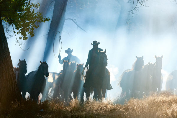 Jim Krantz, The Way of the West no. 4, 2011