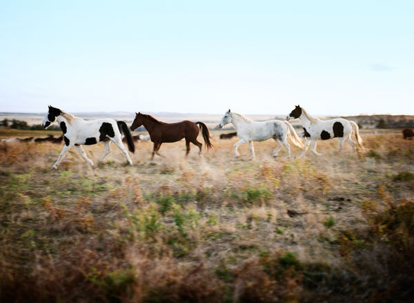 Lisa Candela, Abbey Road, Black Hills, South Dakota, 2014