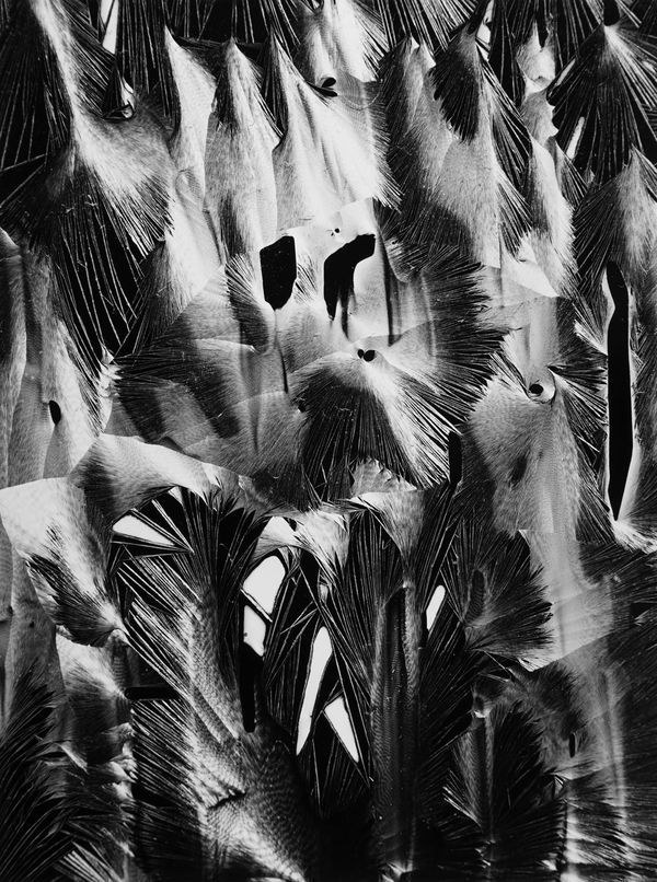 Brett Weston, Cracked Plastic, Garrapata Beach, California, 1955, printed 1977