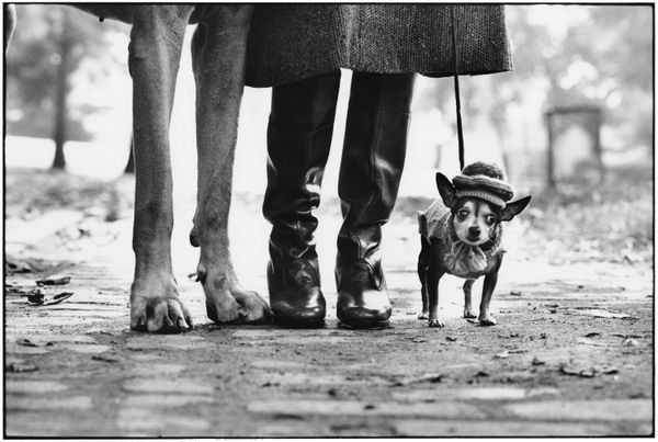 Elliott Erwitt, New York City, NY (Dog's Legs), 1974