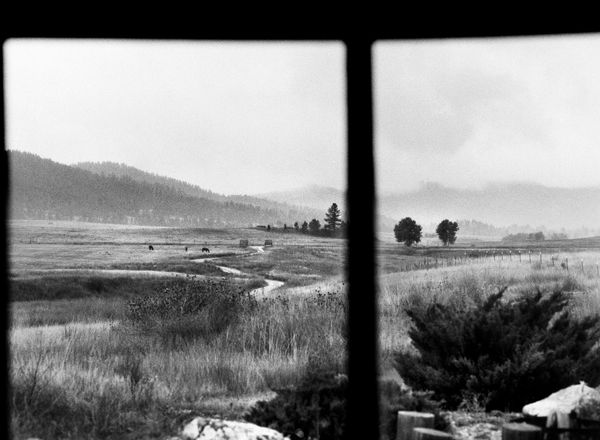 Lisa Candela, Drive to Trappers, Black Hills, South Dakota, 2014