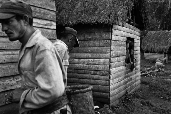 Richard Sharum, Coffee Farm, Santo Domingo, 2017