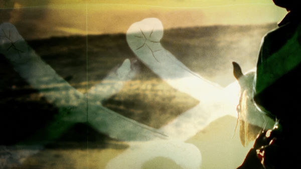 Jim Krantz, DARK ELECTRIC no. 10, 2011