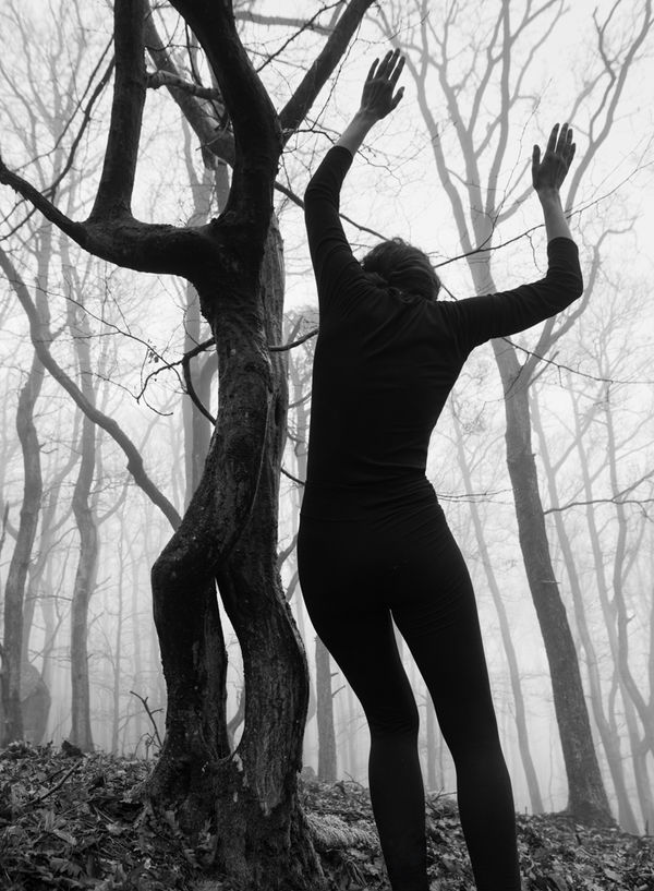 Viki Kollerová, Beech Time, 2025