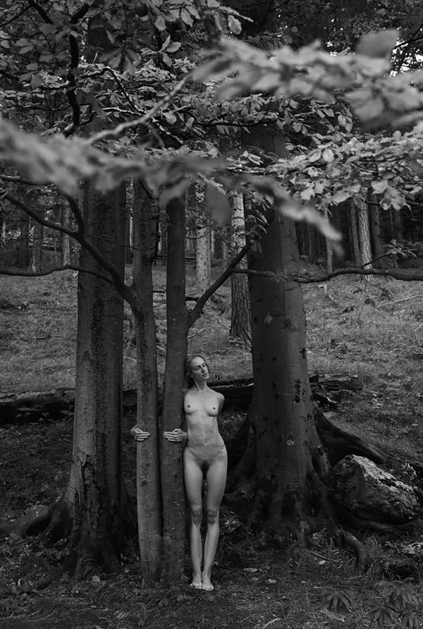 Viki Kollerová, Stubborn Love, 2022